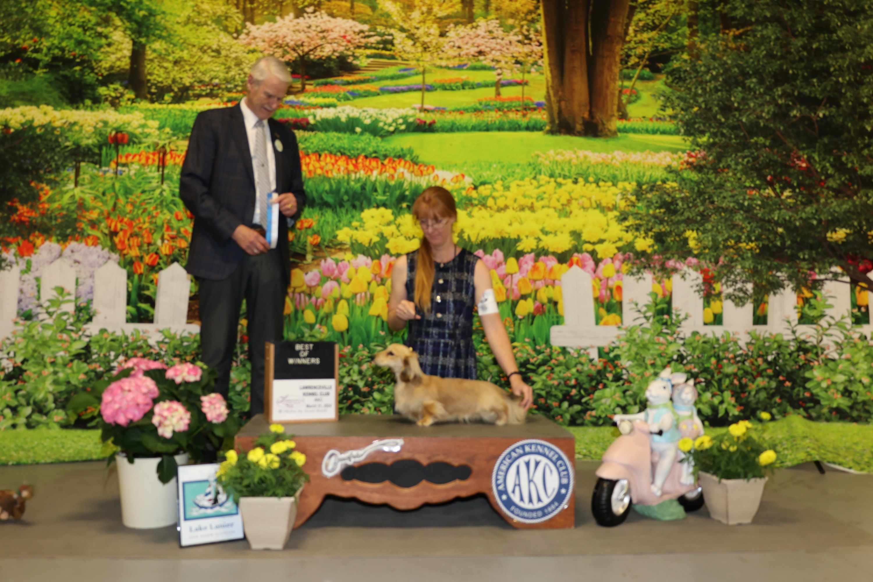 James winning Best of Winners at the Lawrenceville Kennel Club AKC show