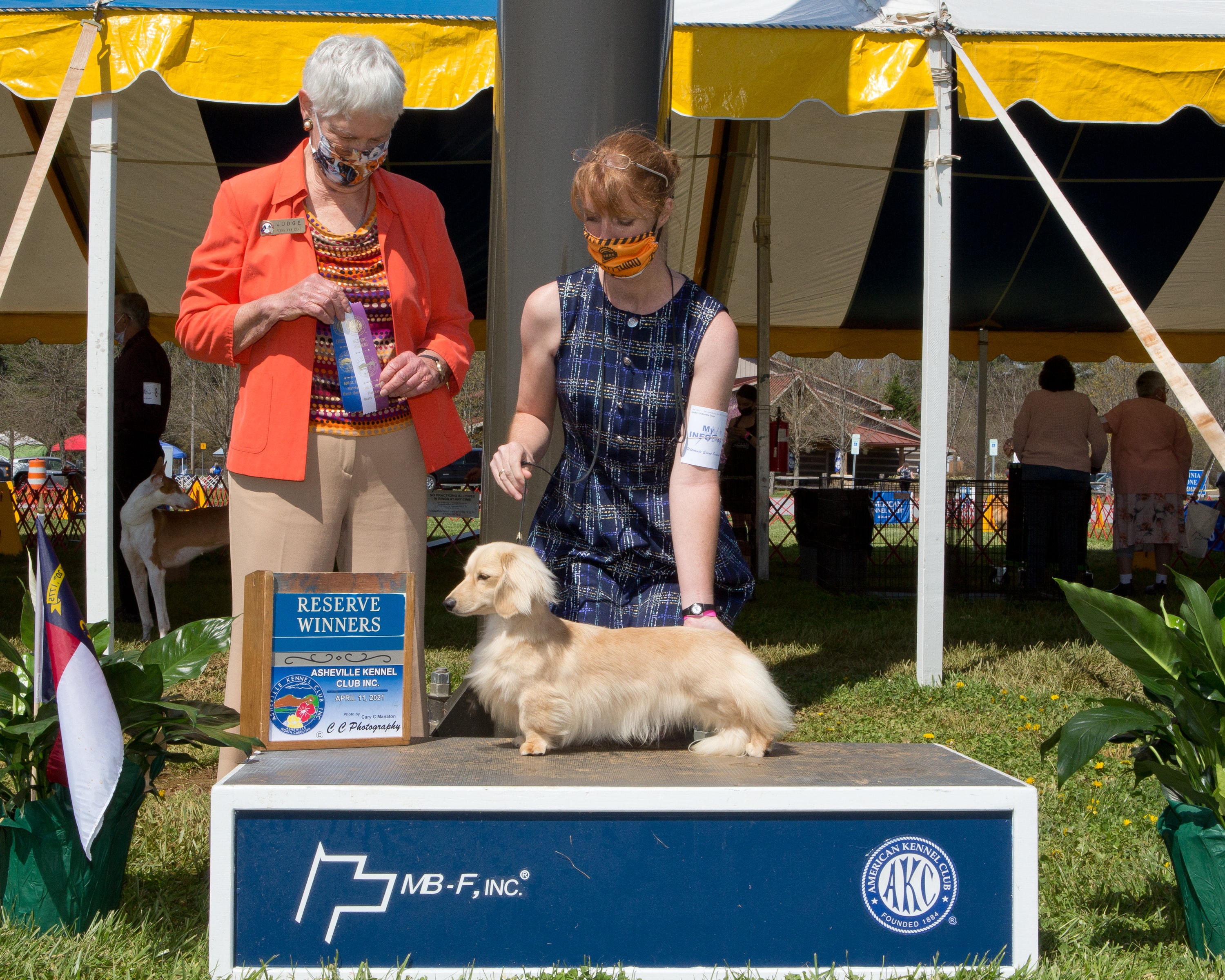 Talisman winning Reserve Winners at the Asheville Kennel Club AKC show